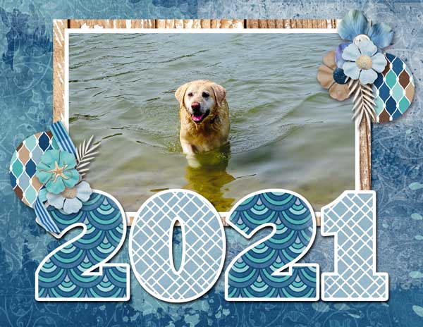 2021 calendar cover