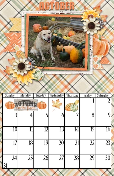 2021 Center Fold 8.5x11 Calendar Templates