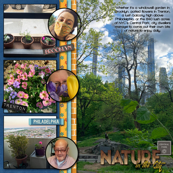2021 Nature in the City