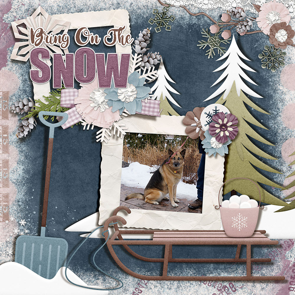 2021 Snowfest