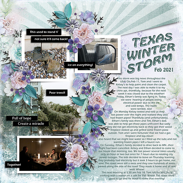 2021 Texas Snowstorm