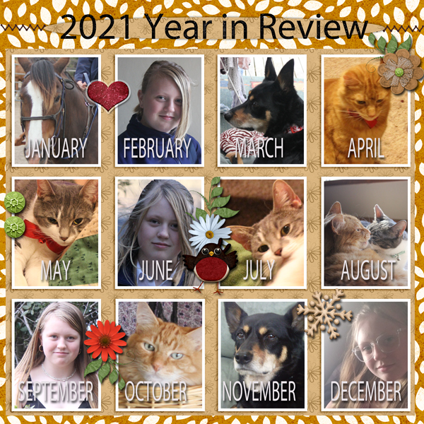 2021 year in review