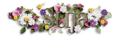 202105 Siggy