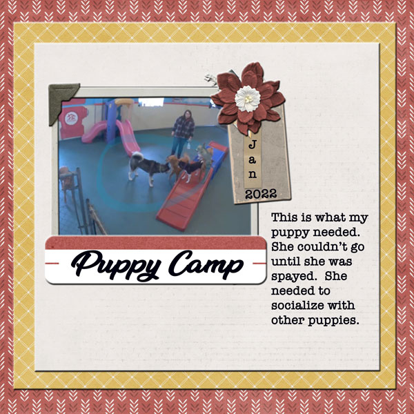 2022-01-05 Puppy Camp