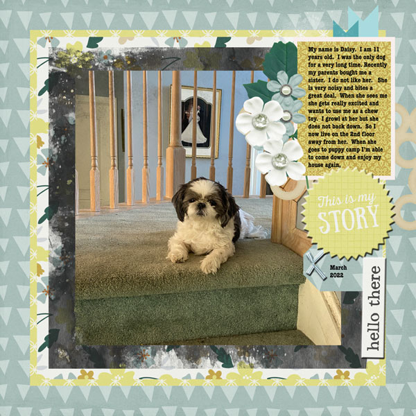 2022-02-09 Daisy Story