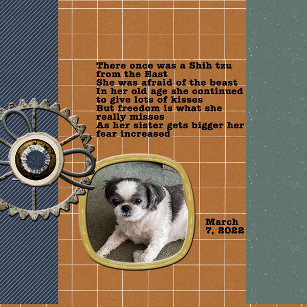 2022-03-07- Daisy Poem