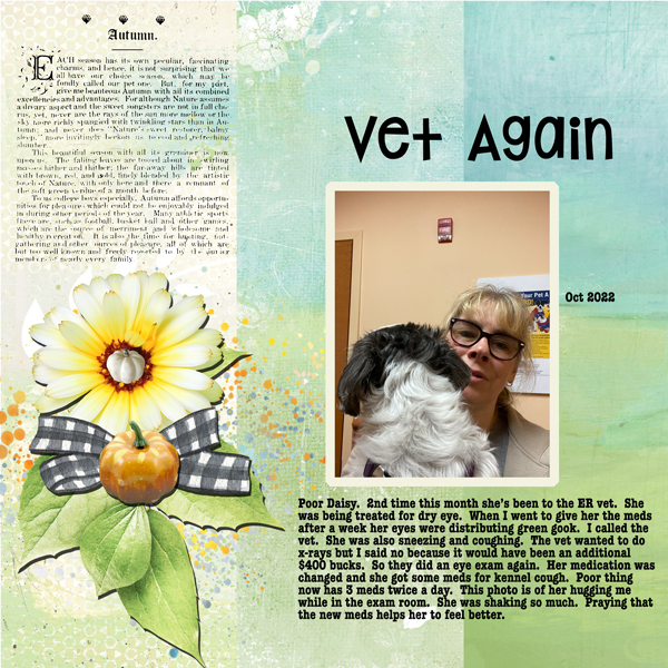 2022-10-08-Daisy Vet 2nd Time