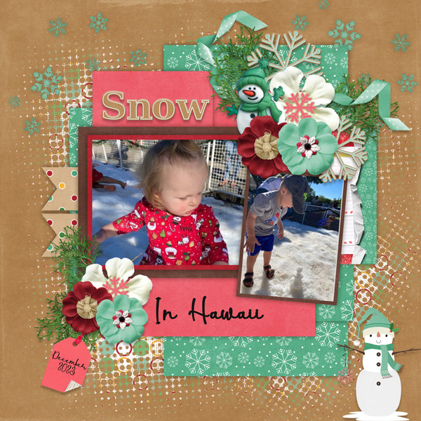#2022 December with Temp #2-Connie Prince