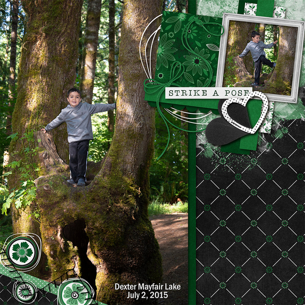 2022 May Template Bundle-kit Paint Chip Emerald