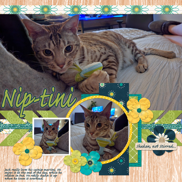 2022 Nip-tini