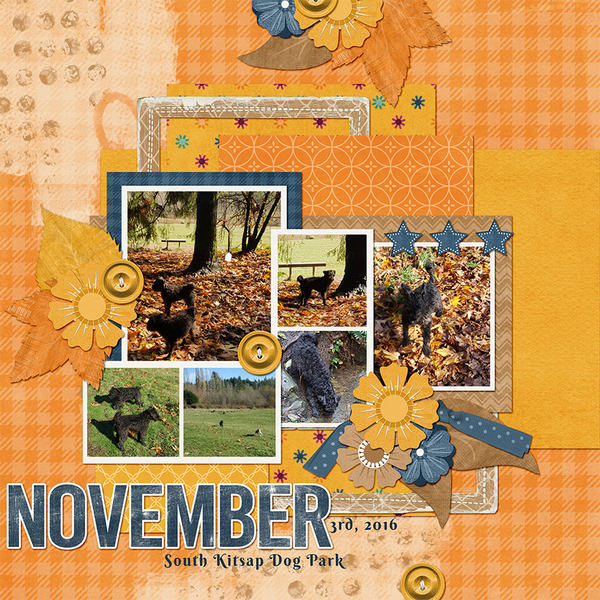#2022 November bundle by Connie Prince