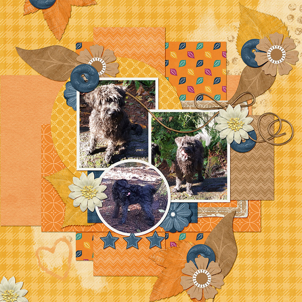 #2022 November bundle by Connie Prince