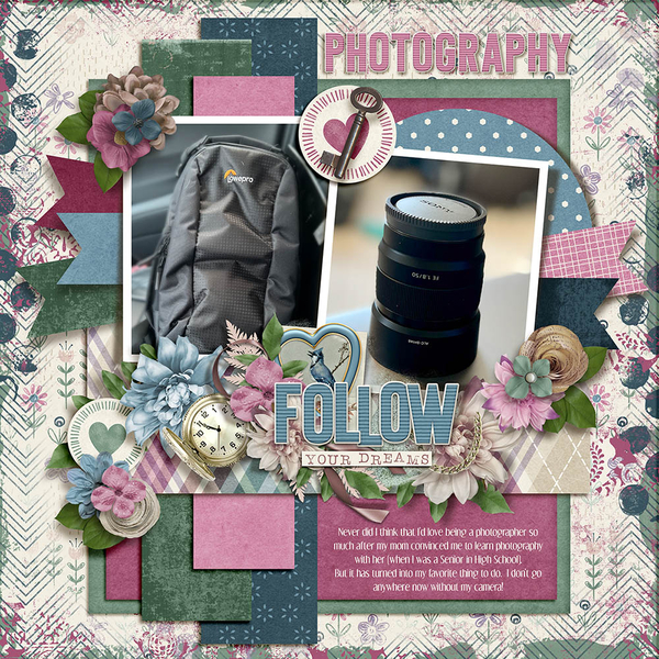 2022 Photography Dreams
