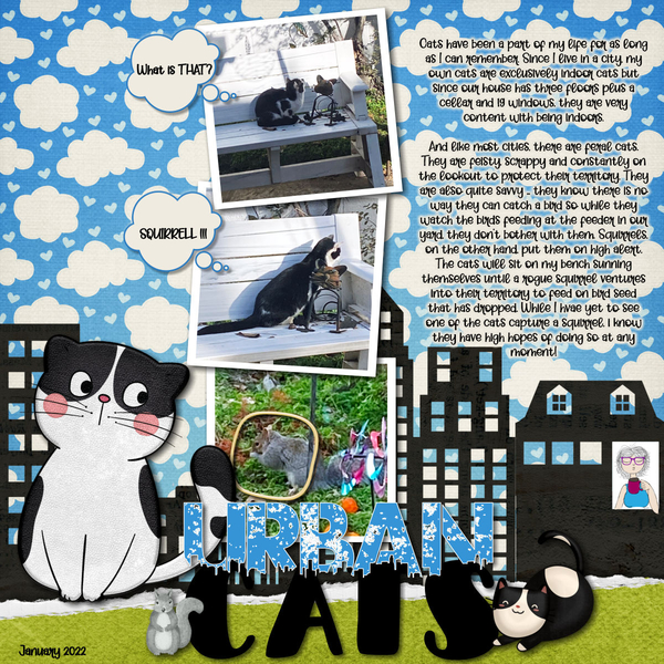 2022 Urban Cat