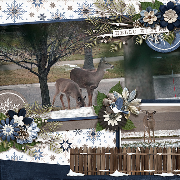 2022 Winter Deer