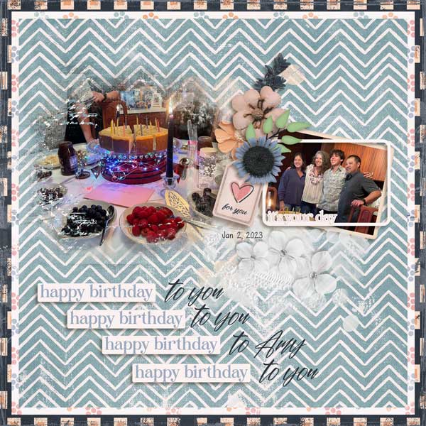 2023-02-2023FamilyAmyBirthdayWeb