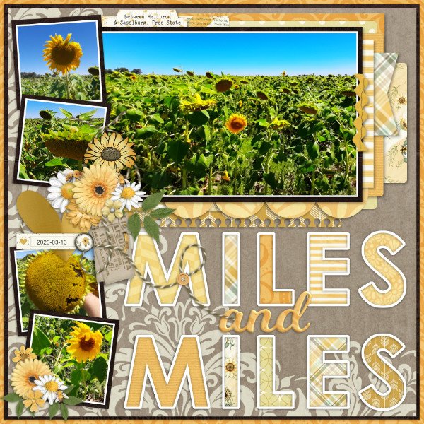 2023-03-13_MilesAndMiles