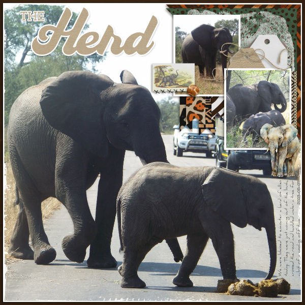 2023-05-07_TheHerd