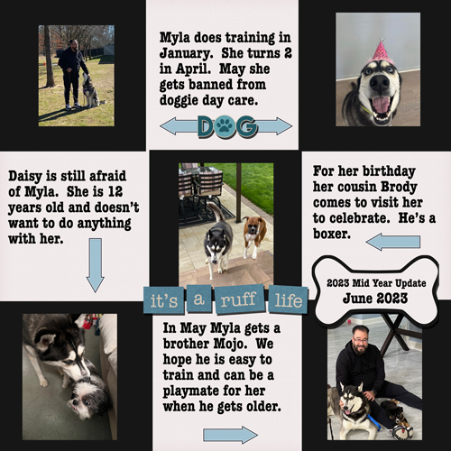 2023-06-05-Myla Mid Year Update