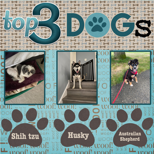 2023-07-23 Top 3 Dogs
