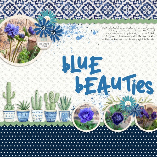 2023-07-28_BlueBeauties