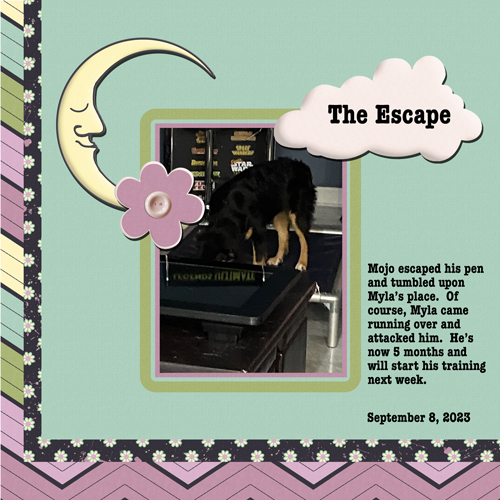 2023-09-08-Mojo Escape