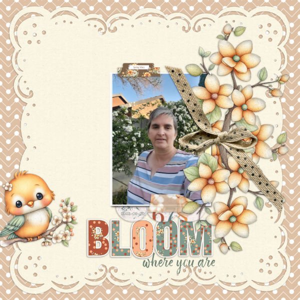 2023-09-20_Bloom