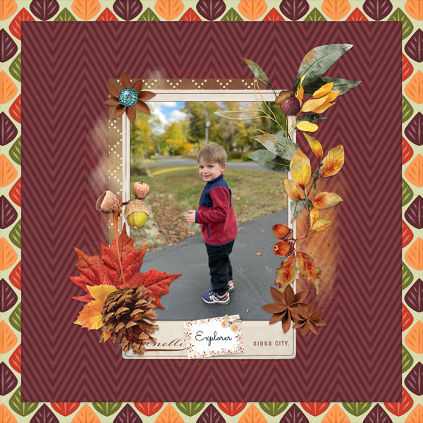 2023-10-19-Autumn-Explorer-WEB