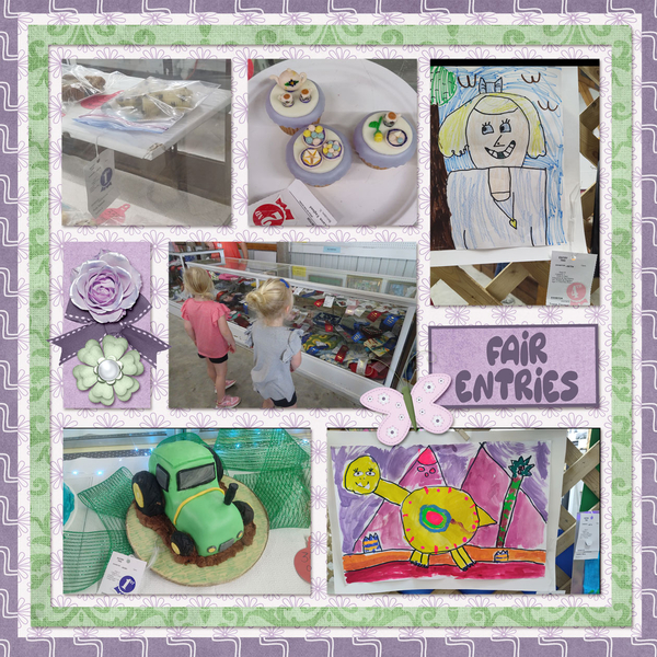 2023 Fair entries