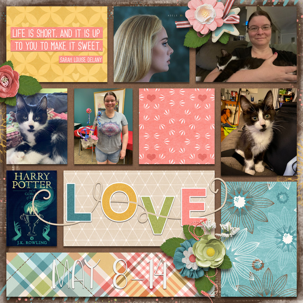 #2023 February