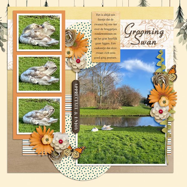 2023 Grooming Swan_PerfectlyPaired_25-03_Tinci_CEAF_86 copy.jpg