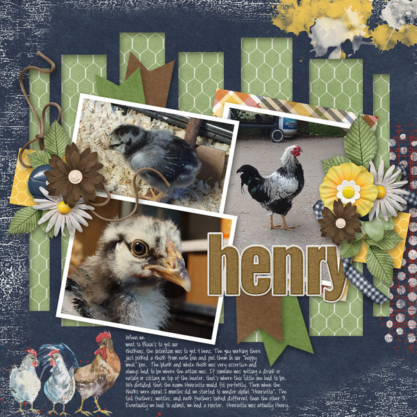 2023-Henry