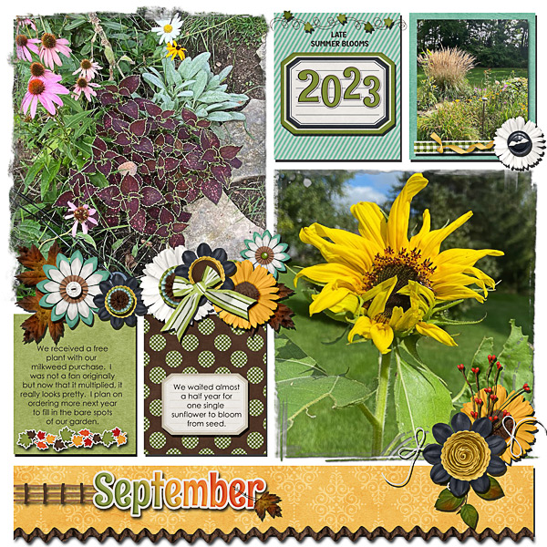 2023 Late Summer Blooms