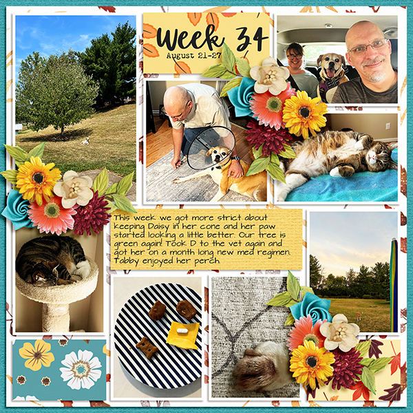 2023 PL Week 34