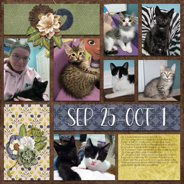 #2023 September Day2Day 2022 Week 40