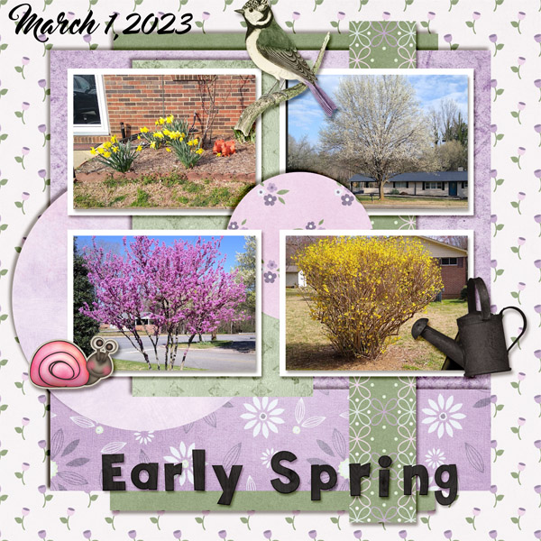 2023 Spring Flowers