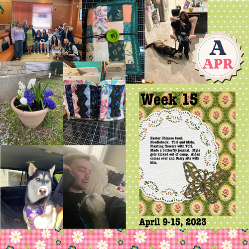 2023-week 15