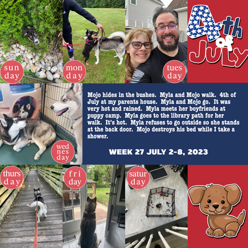 2023 week 27