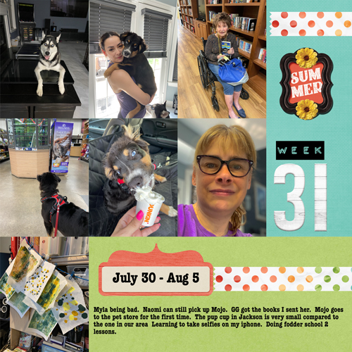 2023-week 31