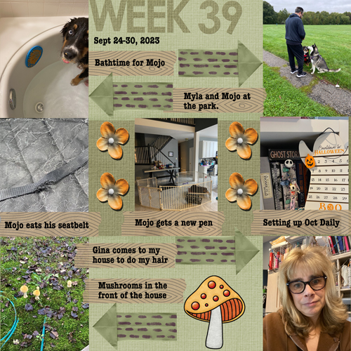 2023 Week 39