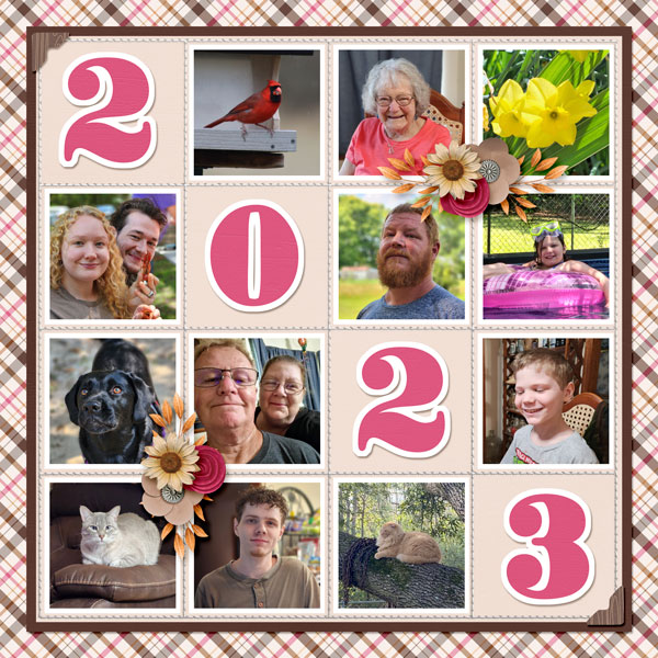 2023 Year in Review