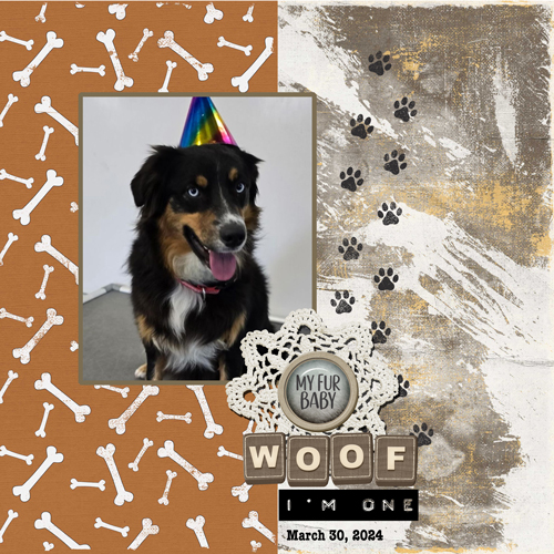2024-03-30-Mojo Birthday 1