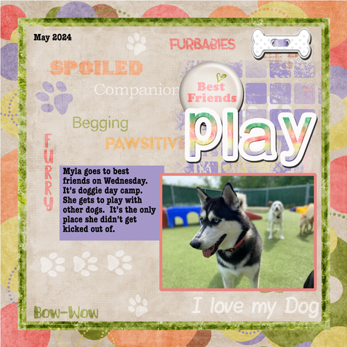 2024-05-10-myla camp