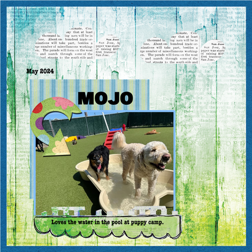 2024-05-29 Mojo Pool