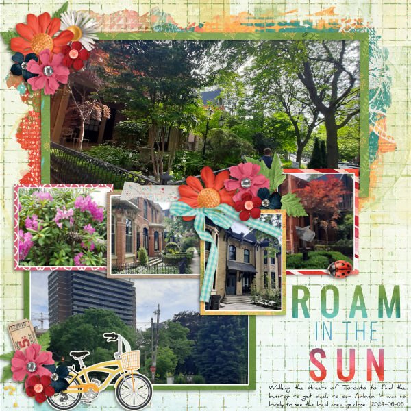 2024-06-05_RoamInTheSun