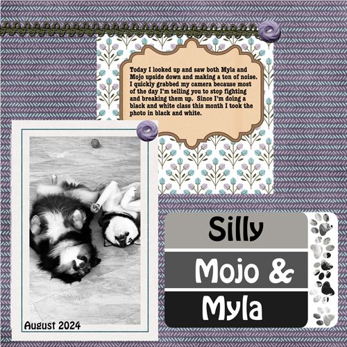 2024-08-18-Myla and Mojo