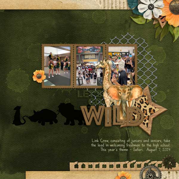 2024-08 Layout Bingo Challenge