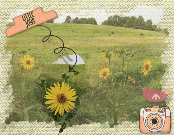 2024-08-wordart challenge