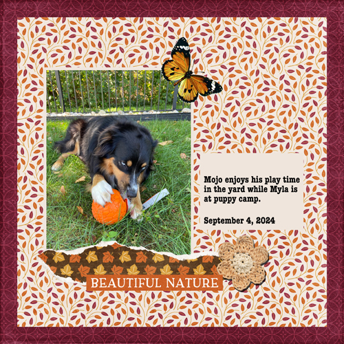 2024-09-04-mojo play