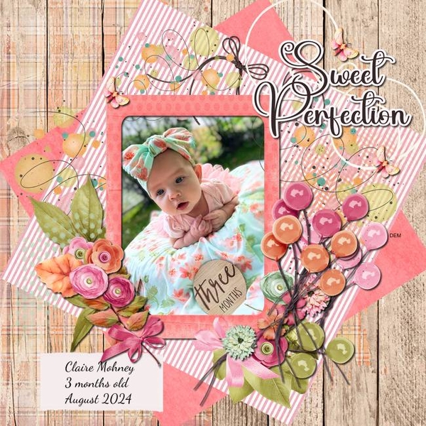 2024 09 Designer Spotlight Challenge
